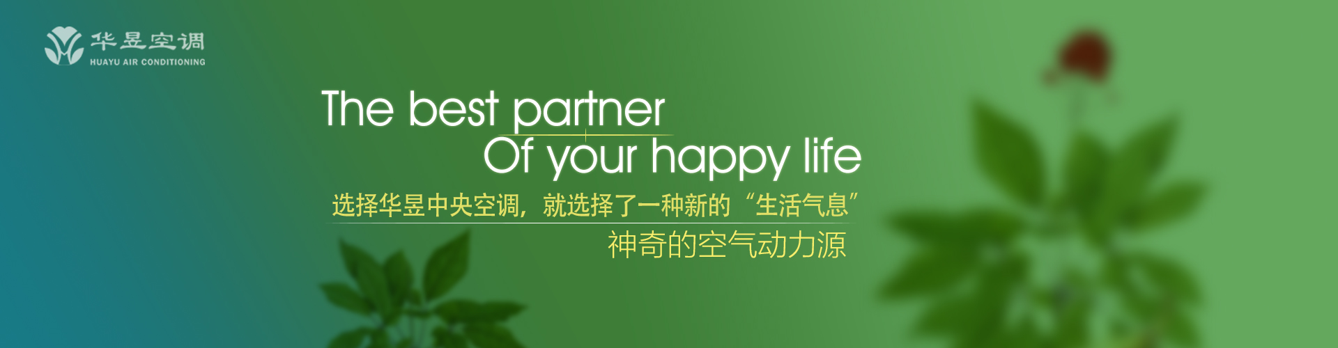 虎皮羊质网